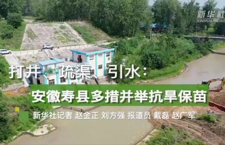 打井、疏渠、引水：安徽壽縣多措并舉抗旱保苗