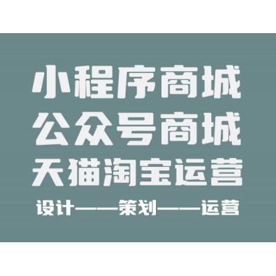 電商平臺、網(wǎng)站、公眾號商城搭建