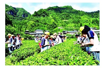 “耕”以強(qiáng)體，“讀”以潤心——我國耕讀教育開展情況調(diào)研報(bào)告