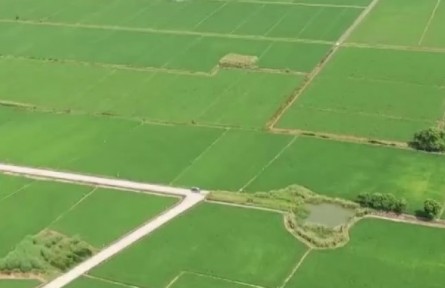 精準施策 力促秋糧穩(wěn)產豐收