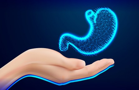 胃越撐越大、越餓越小是真的嗎？