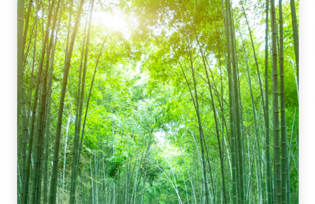 名言 | 孔子：君子不以言舉人，不以人廢言