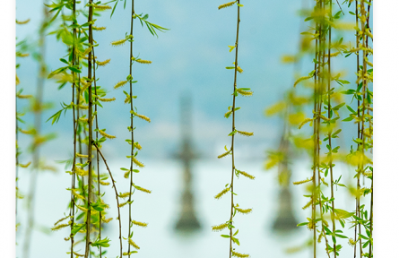 名言 | 荀子：善學(xué)者盡其理，善行者究其難