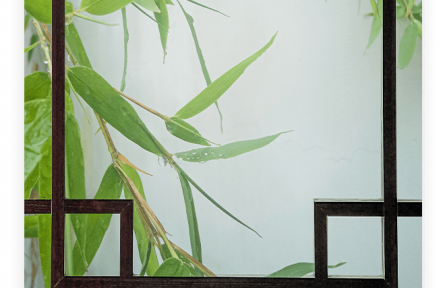 名言 | 孔子：君子成人之美，不成人之惡