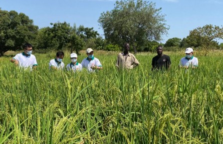 共建“一帶一路”倡議九年來推動(dòng)全球共同發(fā)展成效顯著