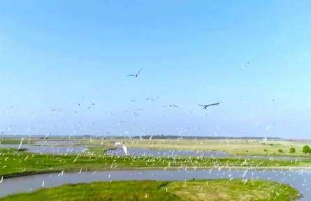 最高法：用最嚴格制度最嚴密法治保護生態(tài)環(huán)境