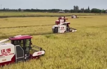 9月23日將迎來第五個(gè)中國農(nóng)民豐收節(jié) 田間地頭洋溢著豐收的喜悅