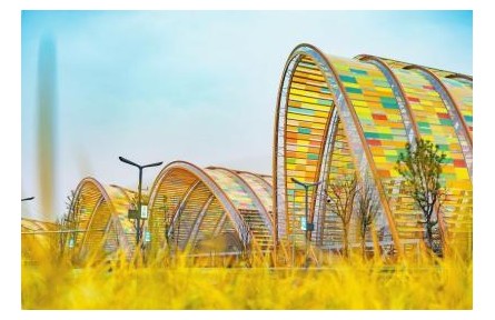 豐收節(jié)，來了！