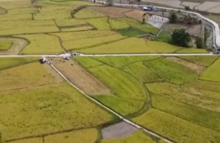 中國(guó)農(nóng)民豐收節(jié) 補(bǔ)足機(jī)收短板 助力顆粒歸倉(cāng)