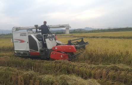 良法多打糧 良種種好糧——安徽秋收一線見(jiàn)聞