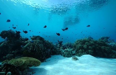 科技名詞 | 海洋質(zhì)子磁力儀