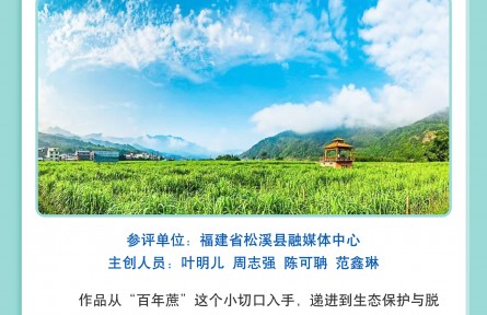 探訪松溪百年蔗 講述生態(tài)致富經(jīng)