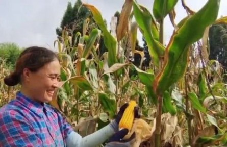 理響巴蜀 | 始終堅持人民至上