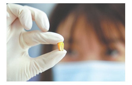 種業(yè)振興行動(dòng)扎實(shí)推進(jìn)