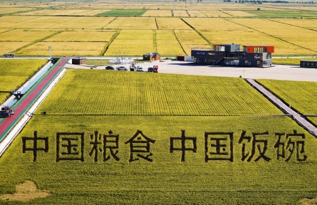 保護性耕作面積 conservational tillage area
