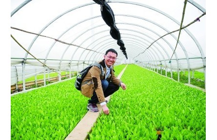 果蔬育種師：陪果蔬一起成長的青春，甜甜的