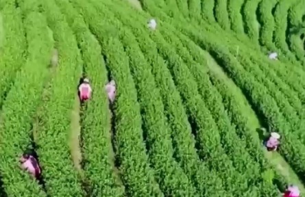 【偉大復(fù)興 壯麗航程】神州巨變 小康夢(mèng)圓