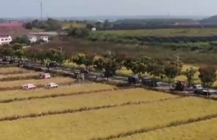 【在希望的田野上】我國(guó)秋糧大面積開鐮收獲