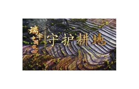 《端牢中國(guó)飯碗》系列報(bào)道