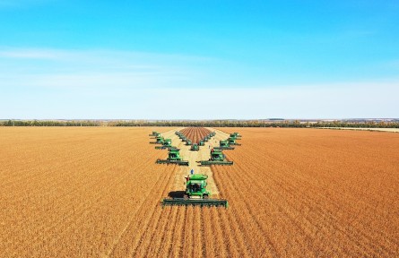 北大荒集團(tuán)1380余萬畝大豆迎豐收