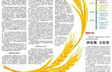 加速品牌化建設(shè)，推動糧食產(chǎn)業(yè)高質(zhì)量發(fā)展
