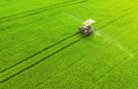 非凡十年，中國農(nóng)業(yè)生機勃勃