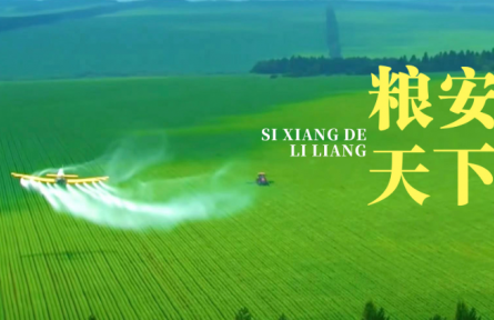 思想的力量 | 糧安天下