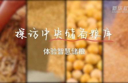 探訪中央儲備糧庫 體驗(yàn)智慧儲糧