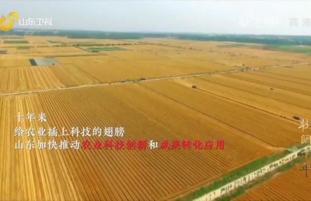 《壯闊十年》第一集《鄉(xiāng)村蝶變》