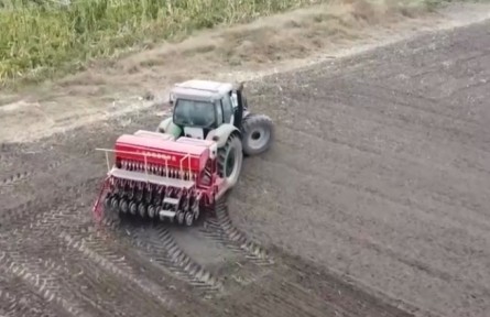 秋冬種全面展開 各產(chǎn)區(qū)多措并舉提升質(zhì)量