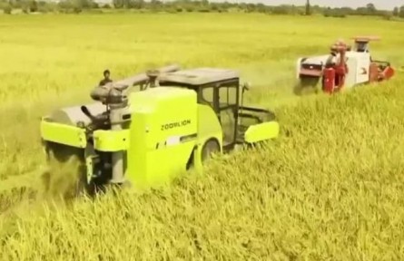 【在希望的田野上】搶抓農(nóng)時(shí)忙秋收 確保顆粒皆歸倉(cāng)