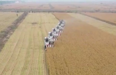 【在希望的田野上】全國(guó)秋糧收獲過(guò)八成