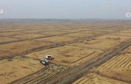 各地持續(xù)推廣綠色高效農(nóng)業(yè)模式 帶動農(nóng)戶增產(chǎn)增收