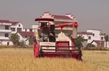 【在希望的田野上】各地加速推進(jìn)秋收 秋冬種同步展開(kāi)
