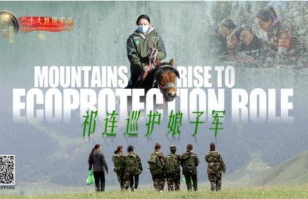 光影十年繪新篇：祁連巡護(hù)娘子軍