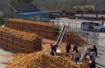 吉林：科學儲糧 讓農(nóng)民豐產(chǎn)更豐收