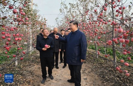 習近平在陜西延安和河南安陽考察時強調(diào) 全面推進鄉(xiāng)村振興 為實現(xiàn)農(nóng)業(yè)農(nóng)村現(xiàn)代化而不懈奮斗