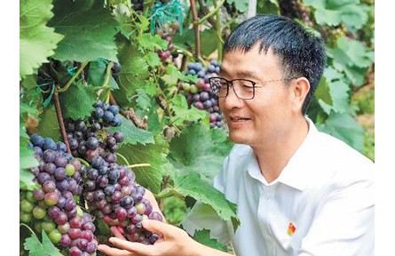 裴春亮：帶村民過上好日子，活出精氣神