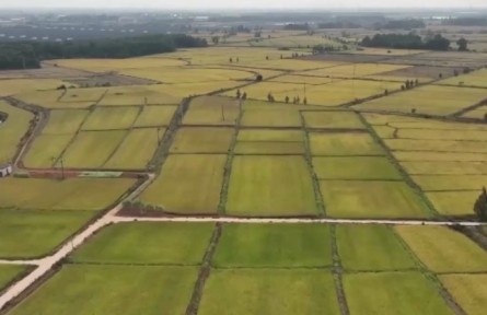 我國加快推進高標(biāo)準(zhǔn)農(nóng)田建設(shè)