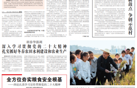 全球糧食減產(chǎn)背景下，中國為何能取得秋糧豐收？