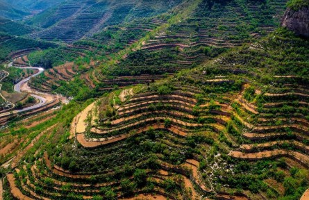 中國農業(yè)文化遺產熠熠生輝
