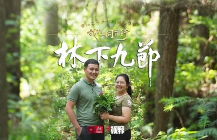 林更綠，民更富！老兵化作“新農(nóng)人”，賦能粵北南嶺林下生態(tài)富民路