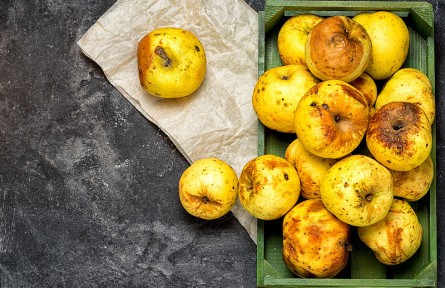 辟謠 | 食物變質(zhì)，加熱就能重新吃？