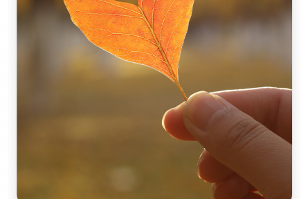 名言 | 葛洪：仁人之視人也如己，待疏也猶密
