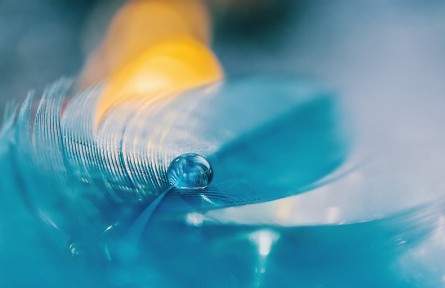 科普 | 露珠為什么是球形的？