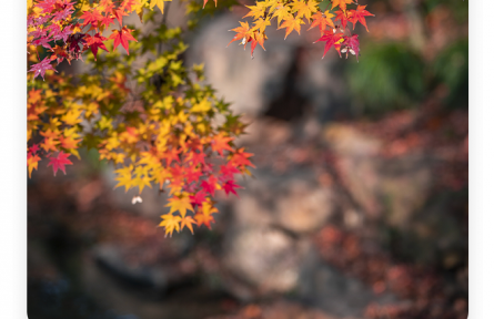 劉勰：歲有其物，物有其容；情以物遷，辭以情發(fā)