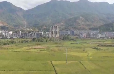 全國秋收完成97.6% 各地采取多項(xiàng)措施推進(jìn)秋種工作