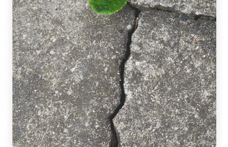 名言 | 尼采：大地上生長(zhǎng)的東西，還有什么比高而強(qiáng)勁的意志更令人歡愉