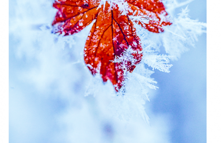 名言 | 胡宏：有源之水，寒冽不凍；有德之人，厄窮不塞