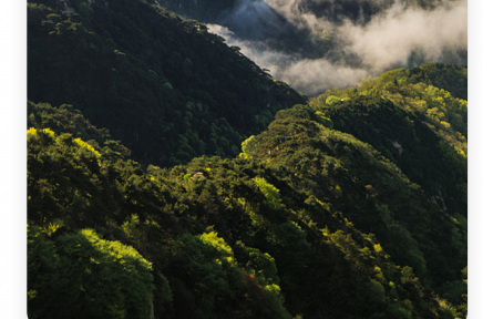 名言 | 劉安：太山之高，背而弗見(jiàn)；秋毫之末，視之可察